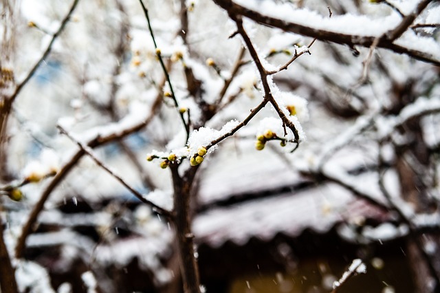 这场较量不