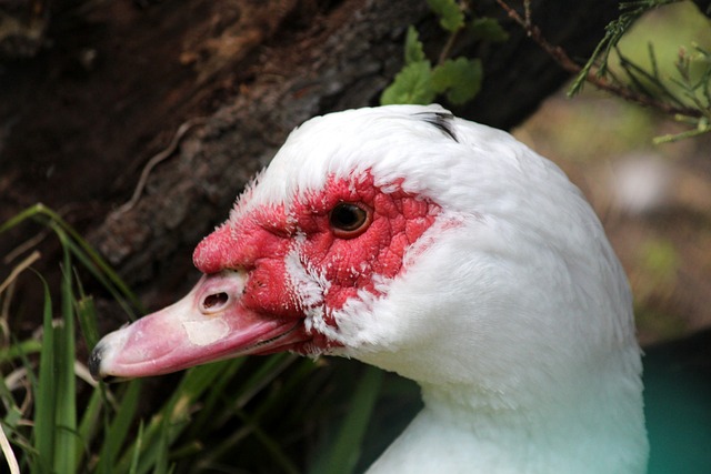 后的故事产 后的故事产