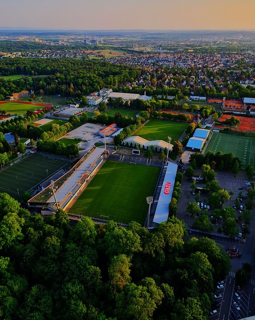 许多曾经参 许多曾经参