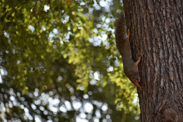 乌克兰媒体：美方就矿产协议内容有让步.