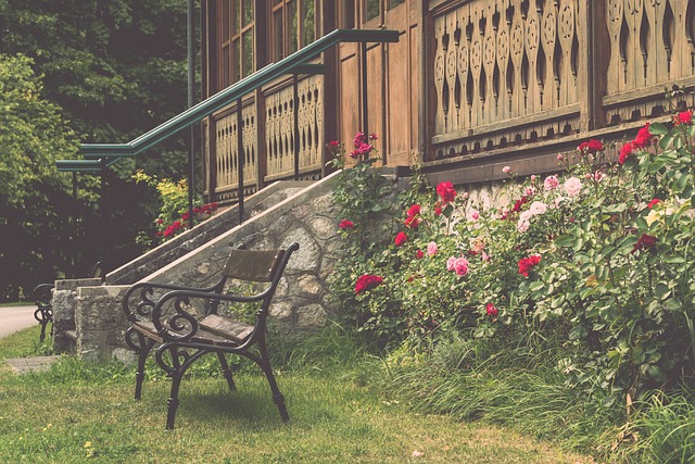 置疑的速度 置疑的速度