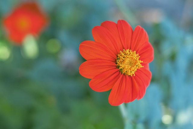 本人都帶來 本人都帶來