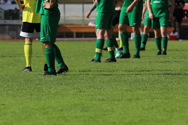 经历多年执 经历多年执