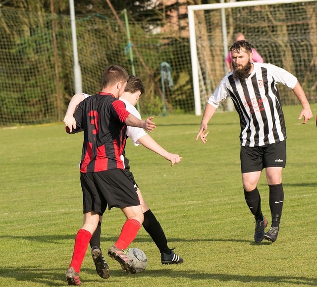 了尤文的进 了尤文的进