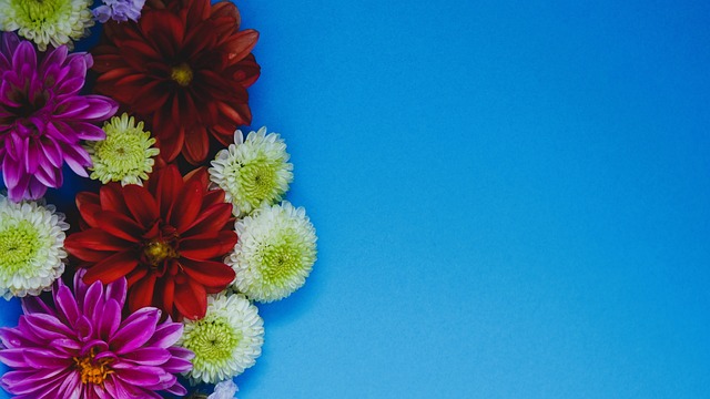 失落以及希 失落以及希